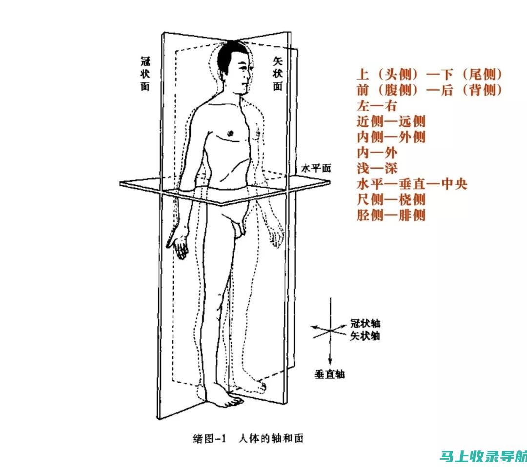 全方位解析SEO推广平台的营销策略及其在不同行业的应用